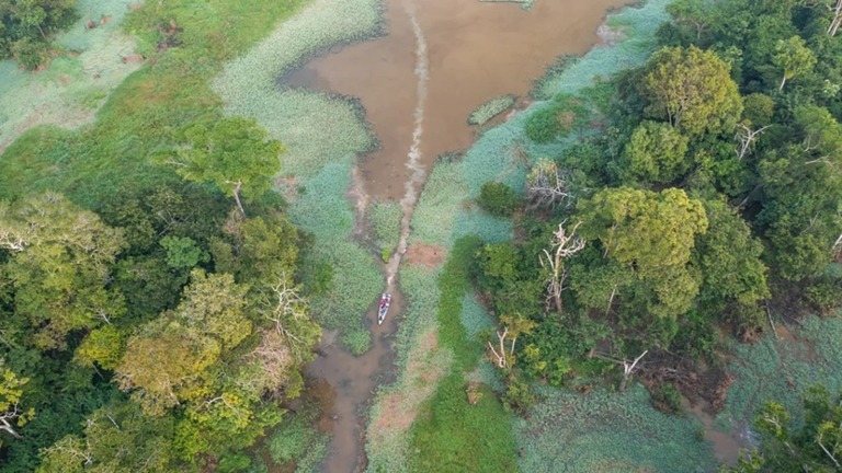 ブラジル・アマゾナス州を流れるアマゾン川の氾濫原の空撮画像/Andre Dib